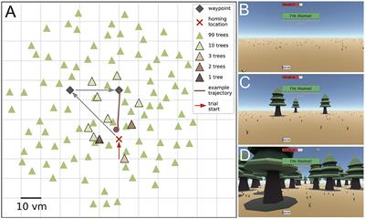 Not seeing the forest for the trees: combination of path integration and landmark cues in human virtual navigation
